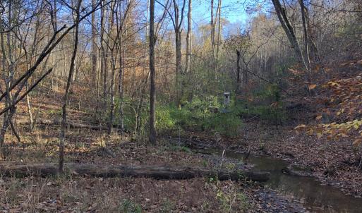 Base of Lot 47