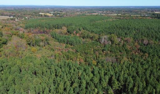 dji_fly_20251021_121614_236_176106338731