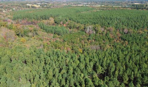 dji_fly_20251021_121536_234_176106338113