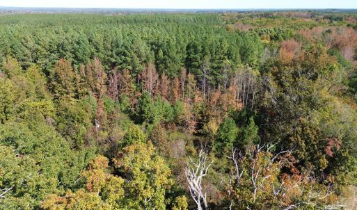 dji_fly_20251021_121300_229_176106332298