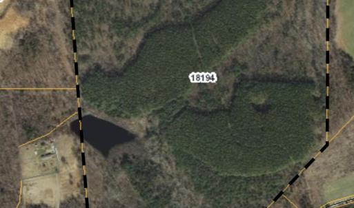GIS