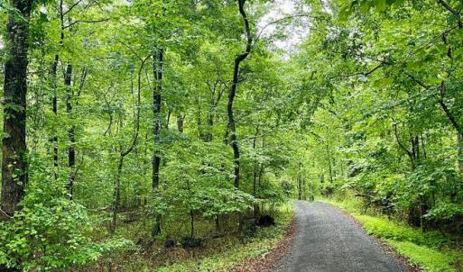 Photo #2 of CARSONS WAY, AMISSVILLE, VA 10.0 acres