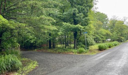 Photo #1 of CARSONS WAY, AMISSVILLE, VA 10.0 acres