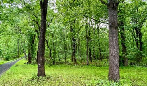 Photo #3 of CARSONS WAY, AMISSVILLE, VA 10.0 acres