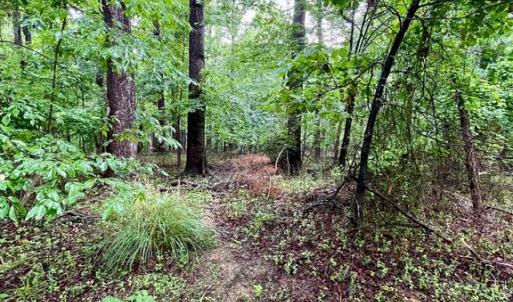 Photo #6 of CARSONS WAY, AMISSVILLE, VA 10.0 acres
