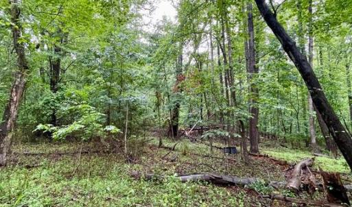 Photo #7 of CARSONS WAY, AMISSVILLE, VA 10.0 acres
