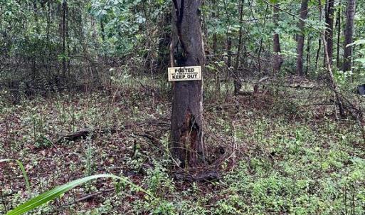 Photo #8 of CARSONS WAY, AMISSVILLE, VA 10.0 acres