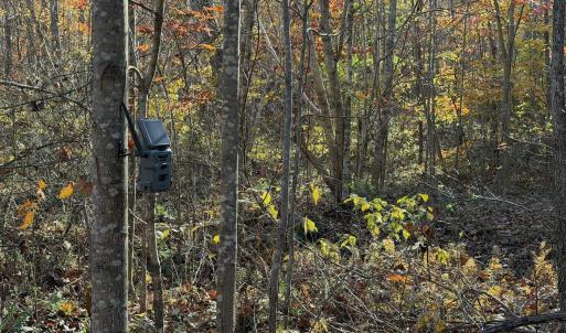 Dykstra ground photos - 15