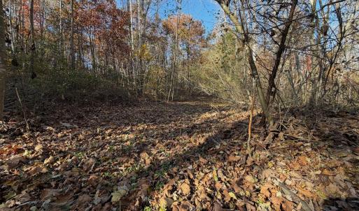 Dykstra ground photos - 14