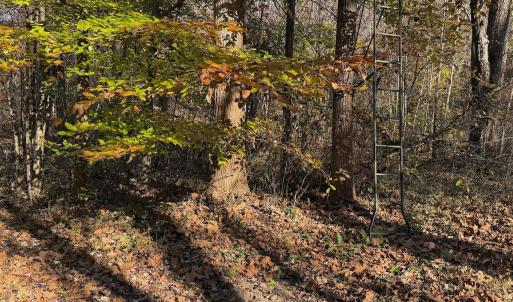 Dykstra ground photos - 10