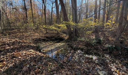 Dykstra ground photos - 11