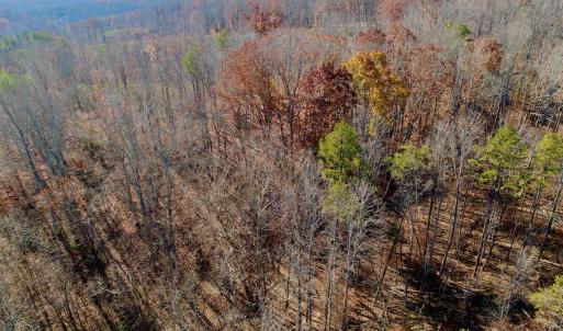 LEESVILLE - 24