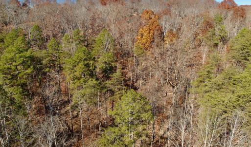 LEESVILLE - 19