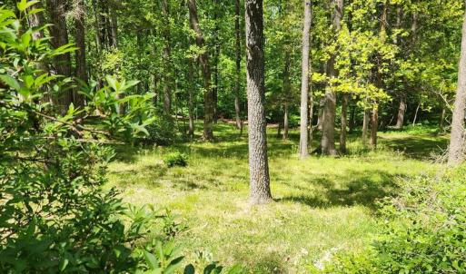 Photo #1 of  0.5 acres