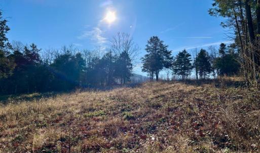 Photo #7 of HARPER VALLEY LOT 9A SITE 1, LURAY, VA 3.4 acres