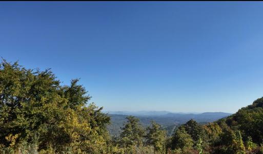 Ross view 2