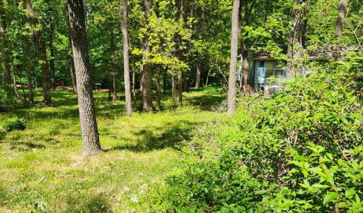 Photo #2 of  0.6 acres