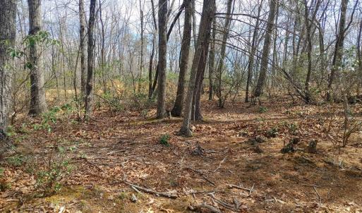 20220422040703865280000000-o