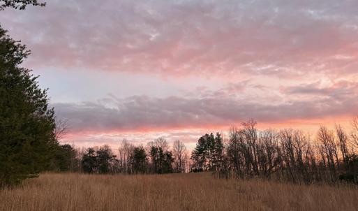 lot 32 windsor castle with trees behind