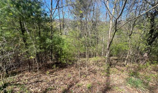 20240423232636322582000000-o