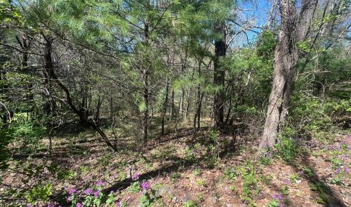 20240423232625215751000000-o