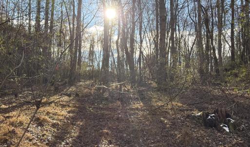 Ready for Your New Home