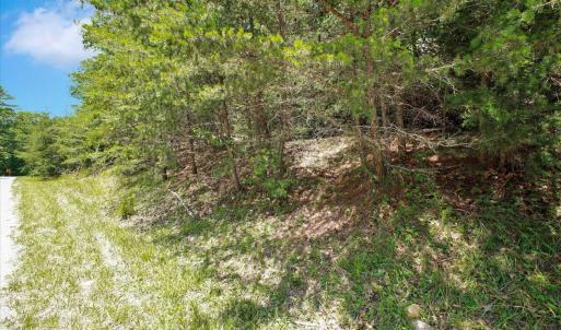 08-Coal Bank Hollow Rd_08