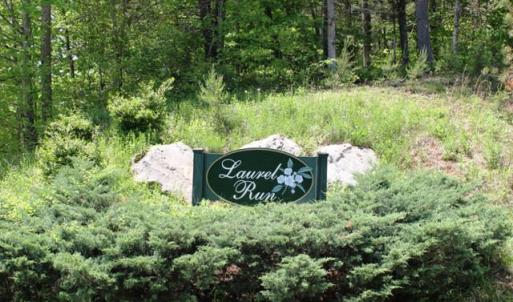 Laurel Run