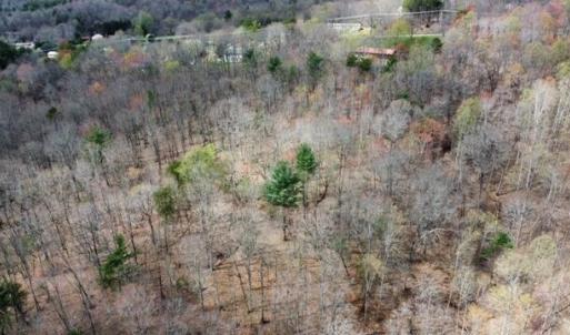 Wooded Acreage