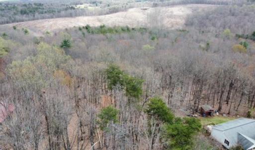 Wooded Acreage