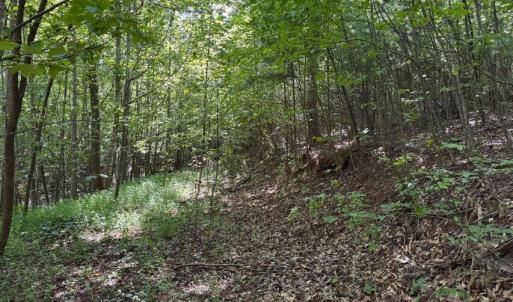 20250818144333856255000000-o