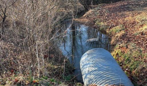 Lot 4 Sunny Seven Dr