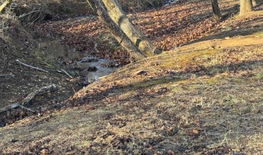 Lot 4 Sunny Seven Dr