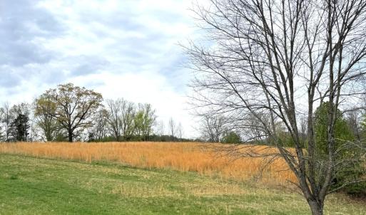 Lot 1 Springhouse Ln