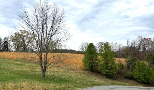 Lot 1 Springhouse Ln