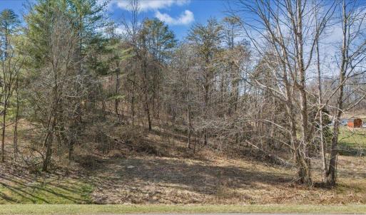 08-DJI_20250312152627_0014_D