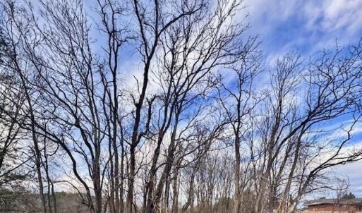 37ebccfa-b3ad-453a-92de-bf5b43078e23