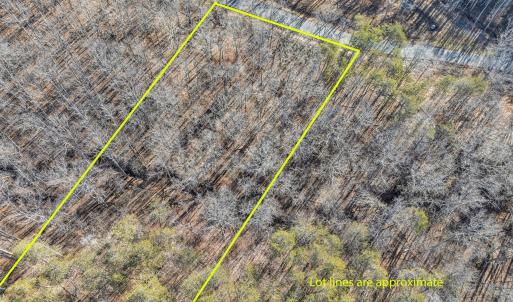 DJI_20260113103340_0019-Edit