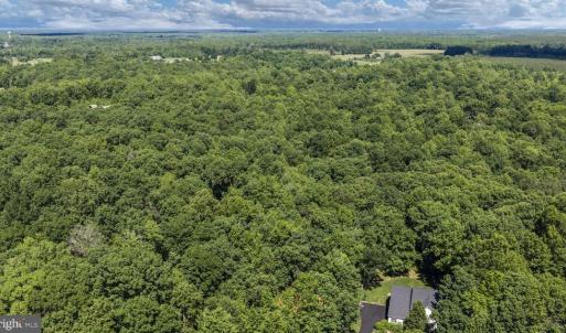 Photo #12 of CUSTERS TRCE, SPOTSYLVANIA, VA 20.0 acres