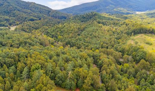 01-LOT 0 Willow Branch Rd_01