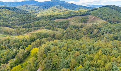 07-LOT 0 Willow Branch Rd_07