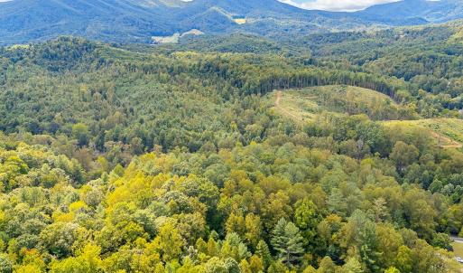 09-LOT 0 Willow Branch Rd_09