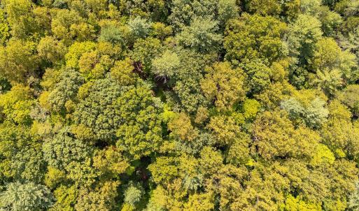 10-LOT 0 Willow Branch Rd_10