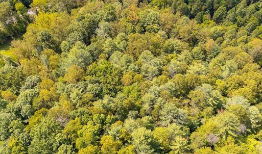 11-LOT 0 Willow Branch Rd_11