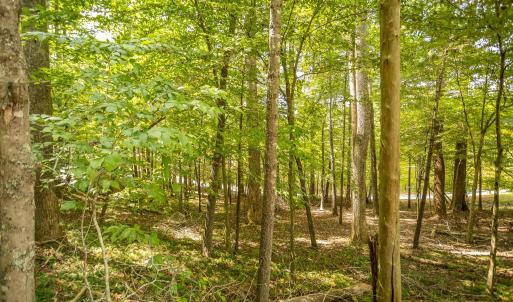 13-LOT 0 Willow Branch Rd_13