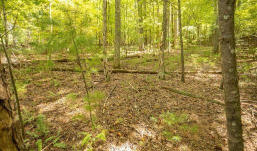 14-LOT 0 Willow Branch Rd_14