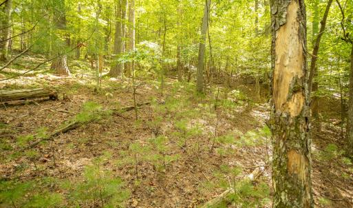 15-LOT 0 Willow Branch Rd_15