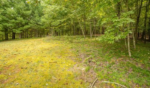 16-LOT 0 Willow Branch Rd_16