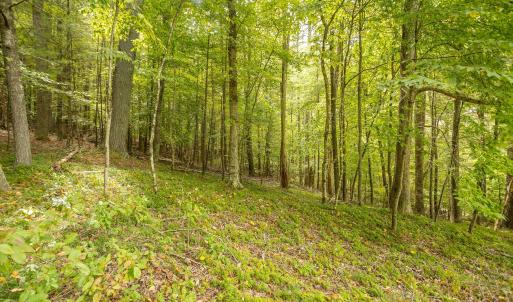 17-LOT 0 Willow Branch Rd_17