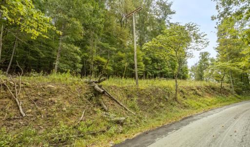 19-LOT 0 Willow Branch Rd_19